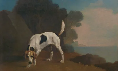 Foxhound
